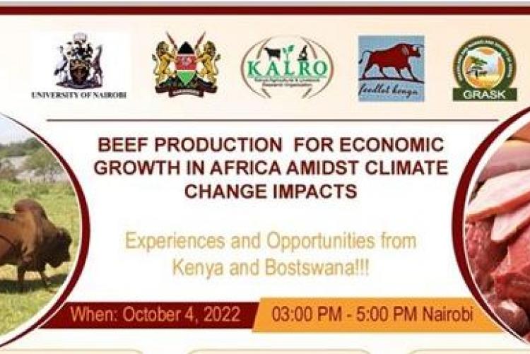 Beef production for economic growth in Africa amidst climate change