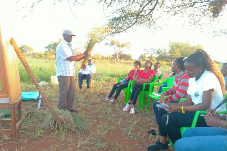 Training farming of 4 indigenous grasses- E. surperba, C. ciliaris, C. roxburghiana, and E. Macrostachyus, Makindu9