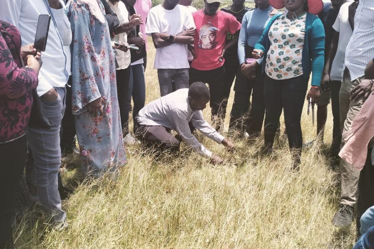 Vegetation sampling  