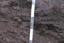 Soil profile exercise
