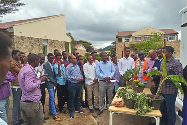 Dean Faculty of Agriculture, UoN,  officially commissions Tissue culture Lab in Somaliland