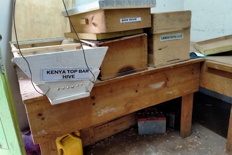 Equipment used in apiculture  sector8