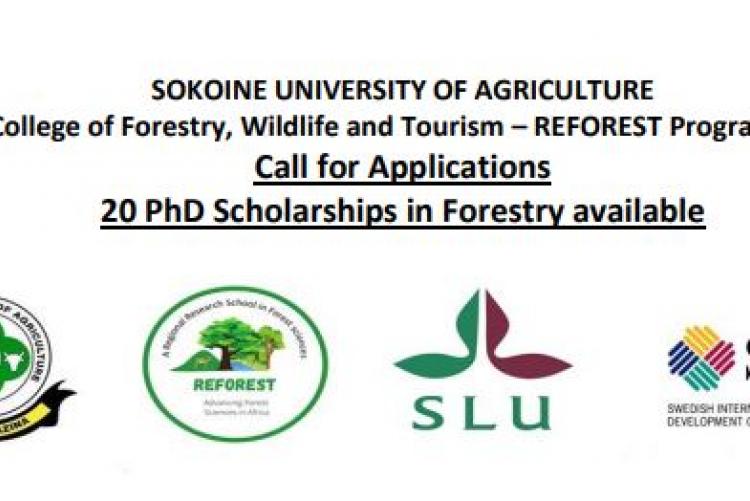 Call for application PhD in Forestry