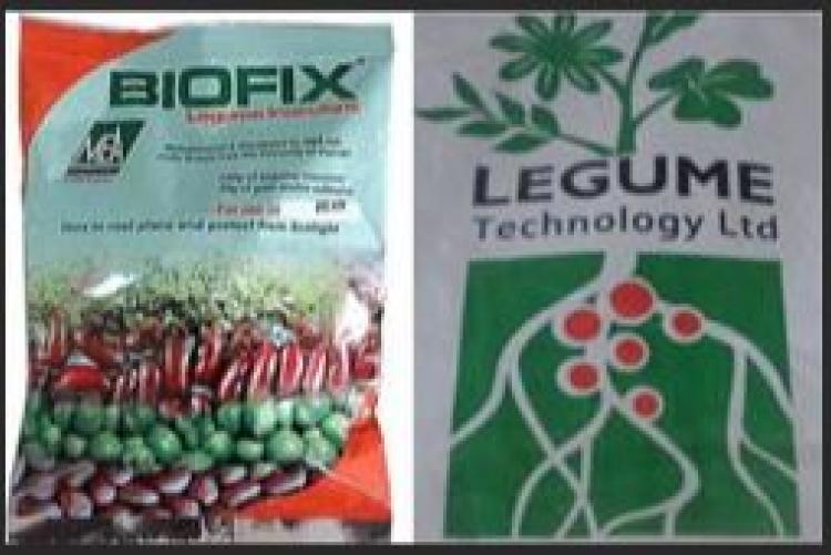 Biofix fertilizer produced by UoN-LARMAT and Mea ltd