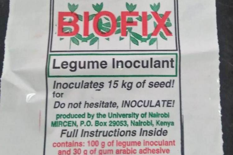A legume inoculant produced by UoN  as Bio fix fertilizer