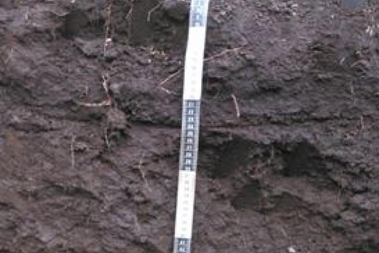 Soil profile determination 
