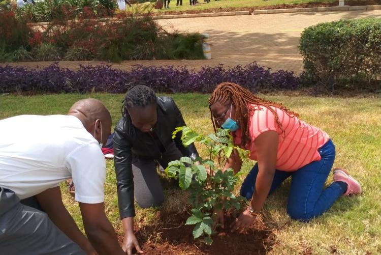 WMI and LARMAt staff planting a tree