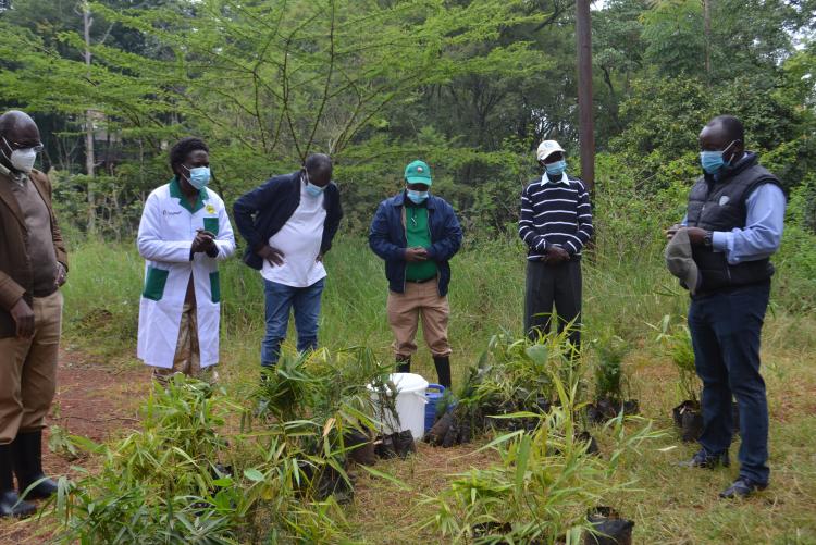 Dr. Wasonga about to plant a tree