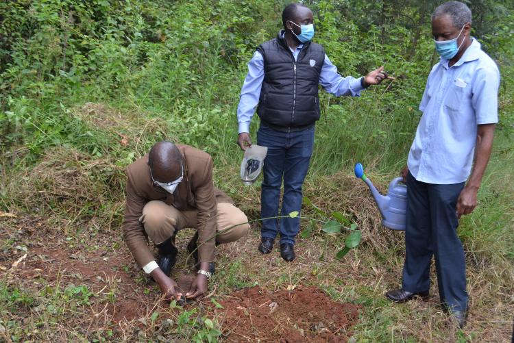 Dr. Wasonga, CAVS registrar during tree planting exercise