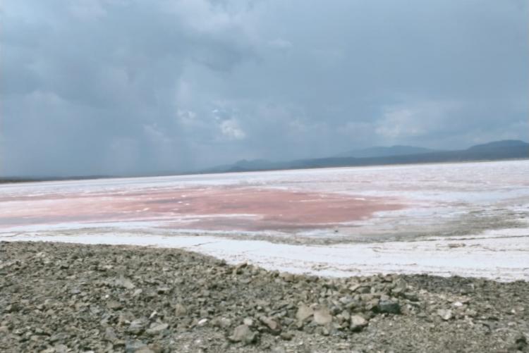 Pink water in lake magadi