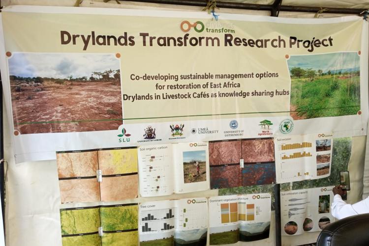 Dryland transform poster  