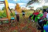 Pasture farmer explaining  various indigenous grasses grown in South Eastern Kenya  