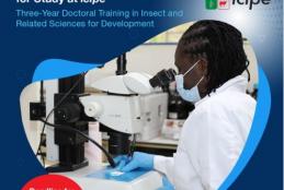 African Regional Postgraduate Programme in Insect Sciences (ARPPIS).