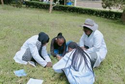 Post graduate students analysing vegetation  