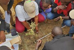 Carolyne Kyalo training on vegetation cover, species composition and species structure determination