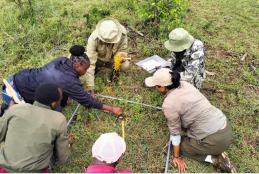 Training on species frequency determination  