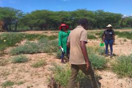 Dr. Kibet, Carolyne and Catherine (MSC student) at her demonstration site at Lake Baringo periphery’s  